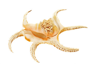 Similar image 749337