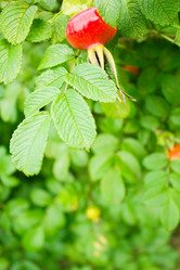 Similar image 749346