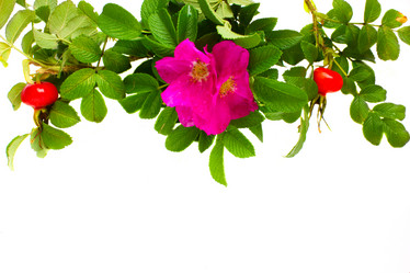 Similar image 749348