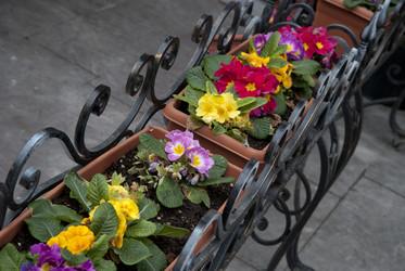 Similar image 749357