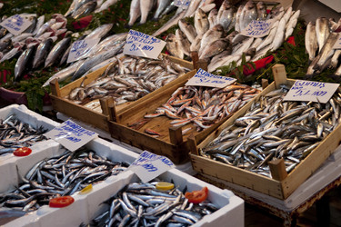 Similar image 749377