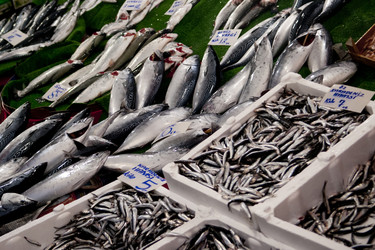 Similar image 749378