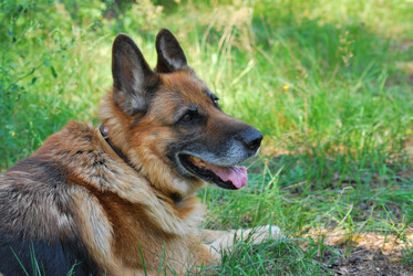 Similar image 749466