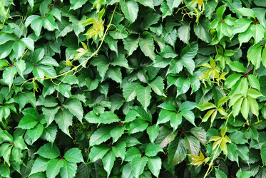 Similar image 749467