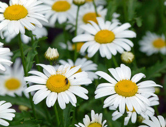 Similar image 749474