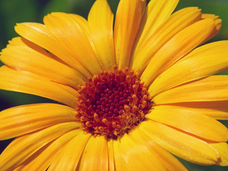 Similar image 749476