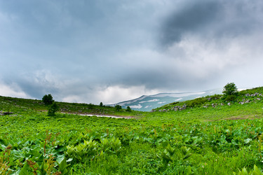 Similar image 749527