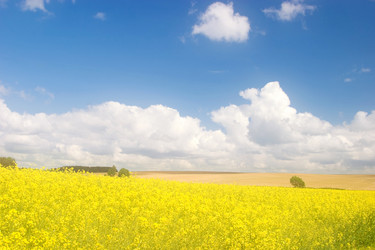 Similar image 749533