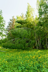 Similar image 749538