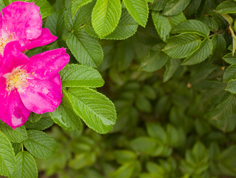 Similar image 749539