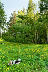 Similar image 749540