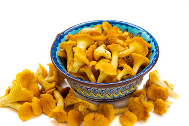 Similar image 749599