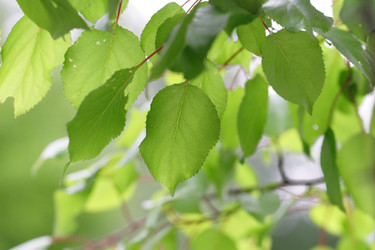 Similar image 749637