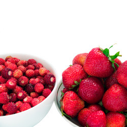 Similar image 749668