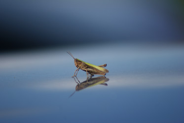 Similar image 749682