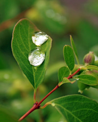 Similar image 749684