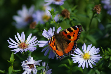 Similar image 749686