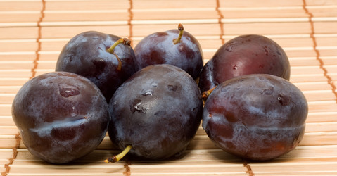 Similar image 749687