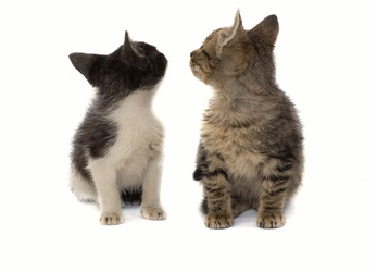 Similar image 749699