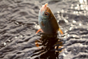 Similar image 749703