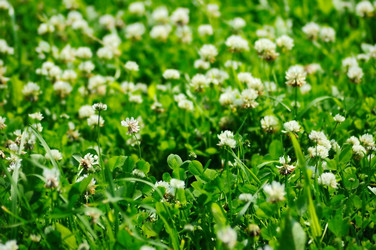 Similar image 749729