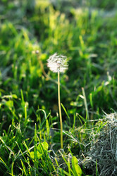 Similar image 749764