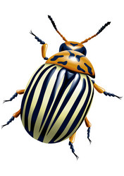 Similar image 749815