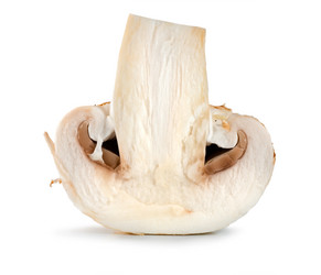 Similar image 750012