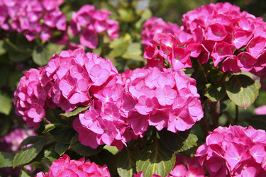 Similar image 750015