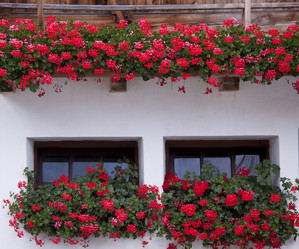 Similar image 750017