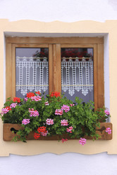 Similar image 750018