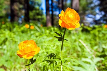 Similar image 750185