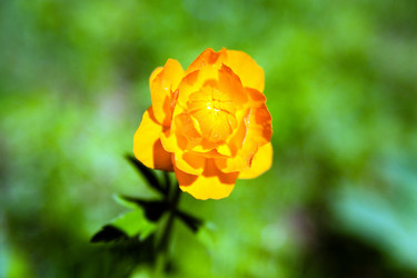 Similar image 750190