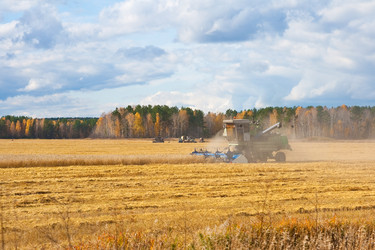 Similar image 750194