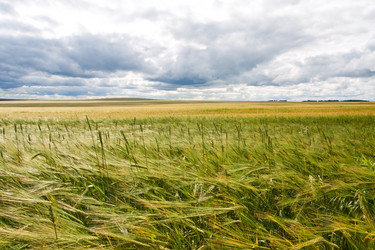 Similar image 750197