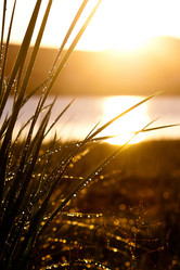 Similar image 750201