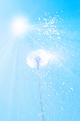 Similar image 750288