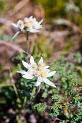 Similar image 750293