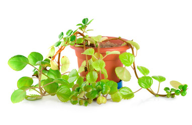 Similar image 750296