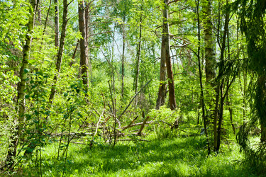 Similar image 750329