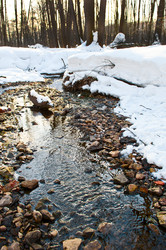 Similar image 750333