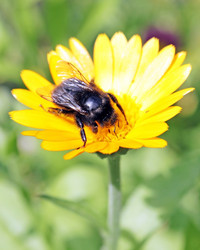 Similar image 750355