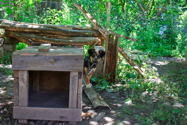 Similar image 750361