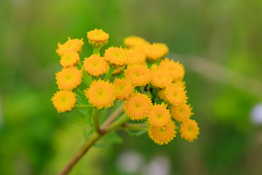 Similar image 750362