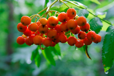 Similar image 750363