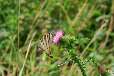 Similar image 750365