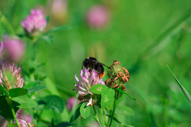 Similar image 750366