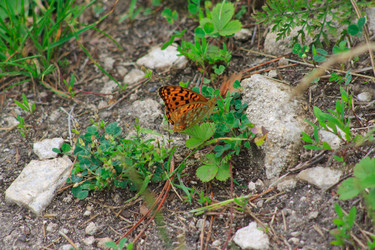 Similar image 750367