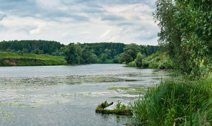 Similar image 750375