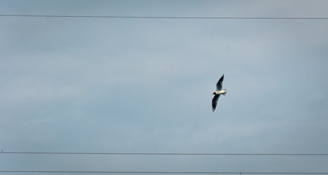 Similar image 750379